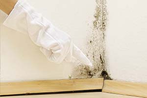 Schimmel an feuchter Wand führt zu Wertverlust Schimmelpilz an feuchter Mauer führt zu Wertverlust